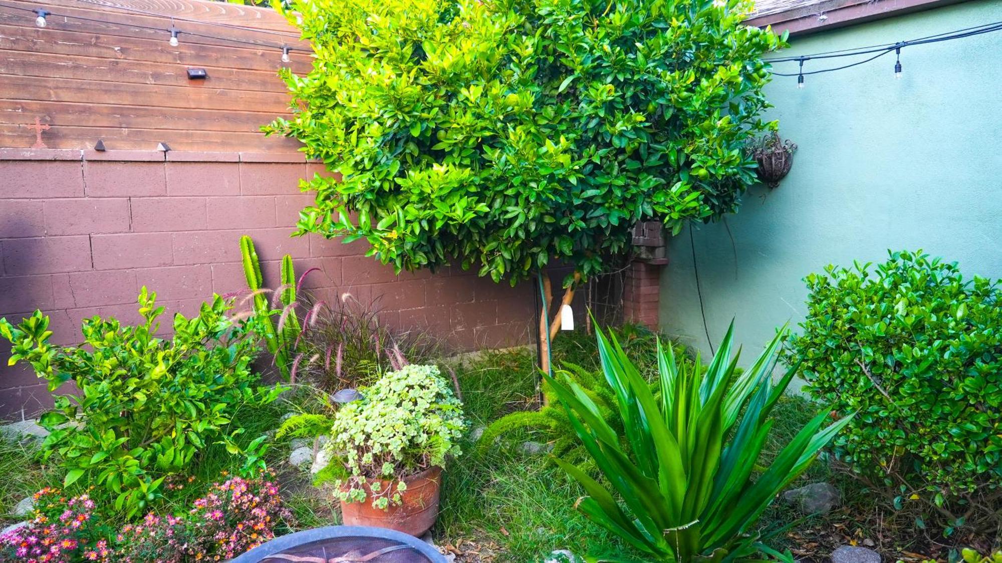 Cozy private Guest House Los Angeles Zewnętrze zdjęcie